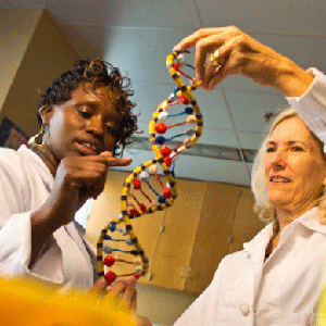 two female scientists looking at a dna string model