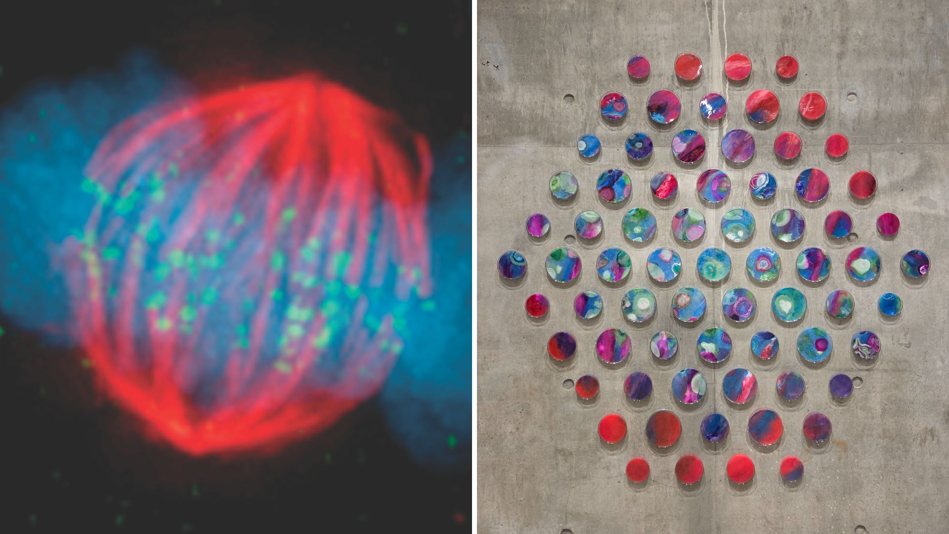 Collage of a graphic of chromosomes and a photo of an art mural using the graphic
