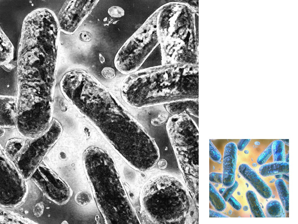 Graphic of cyborg cells, one larger photo in black and white and the same photo smaller but in color