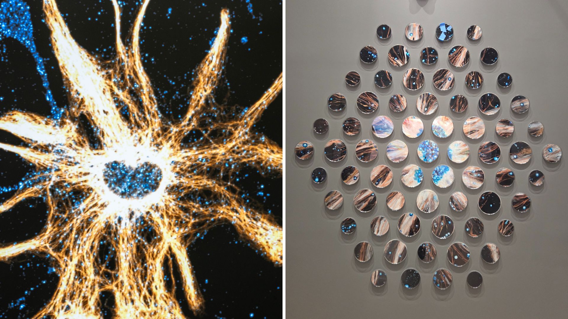 Collage of a graphic of a cell in the hippocampus of the brain and a photo of an art mural using the graphic