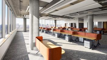Office space with desks illuminated with sunlight coming through windows