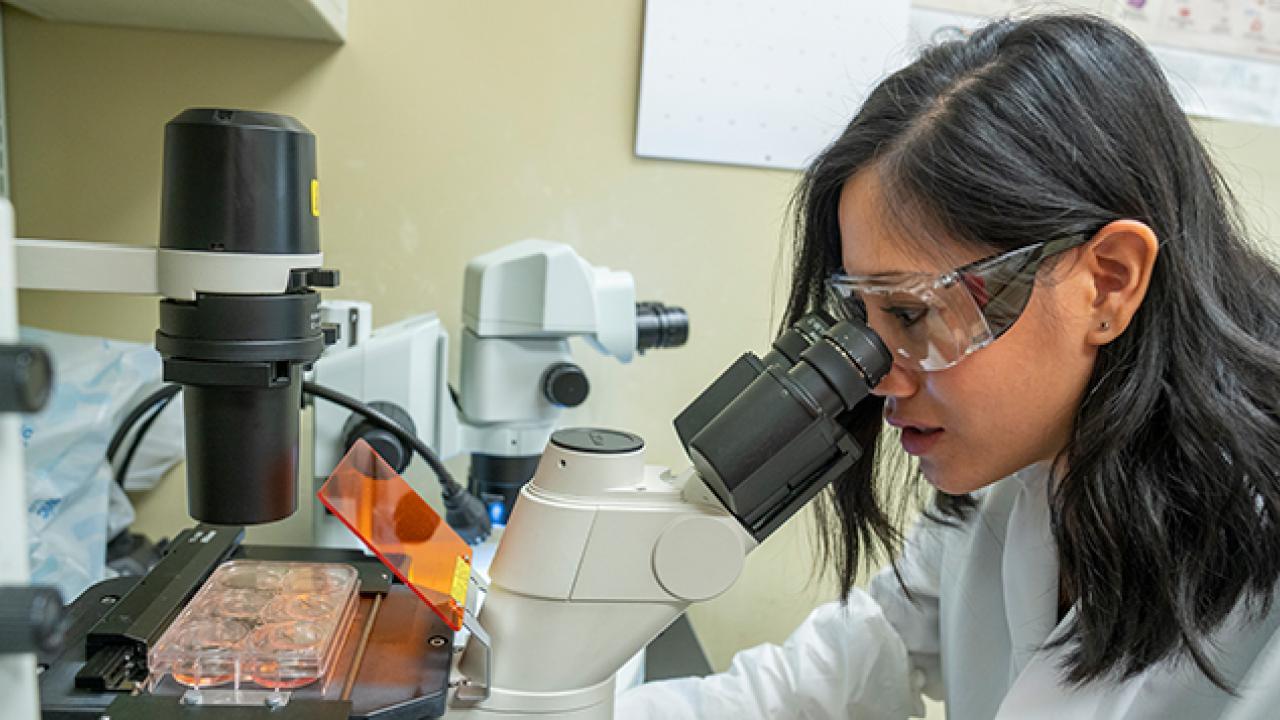 A person looking through a microscope