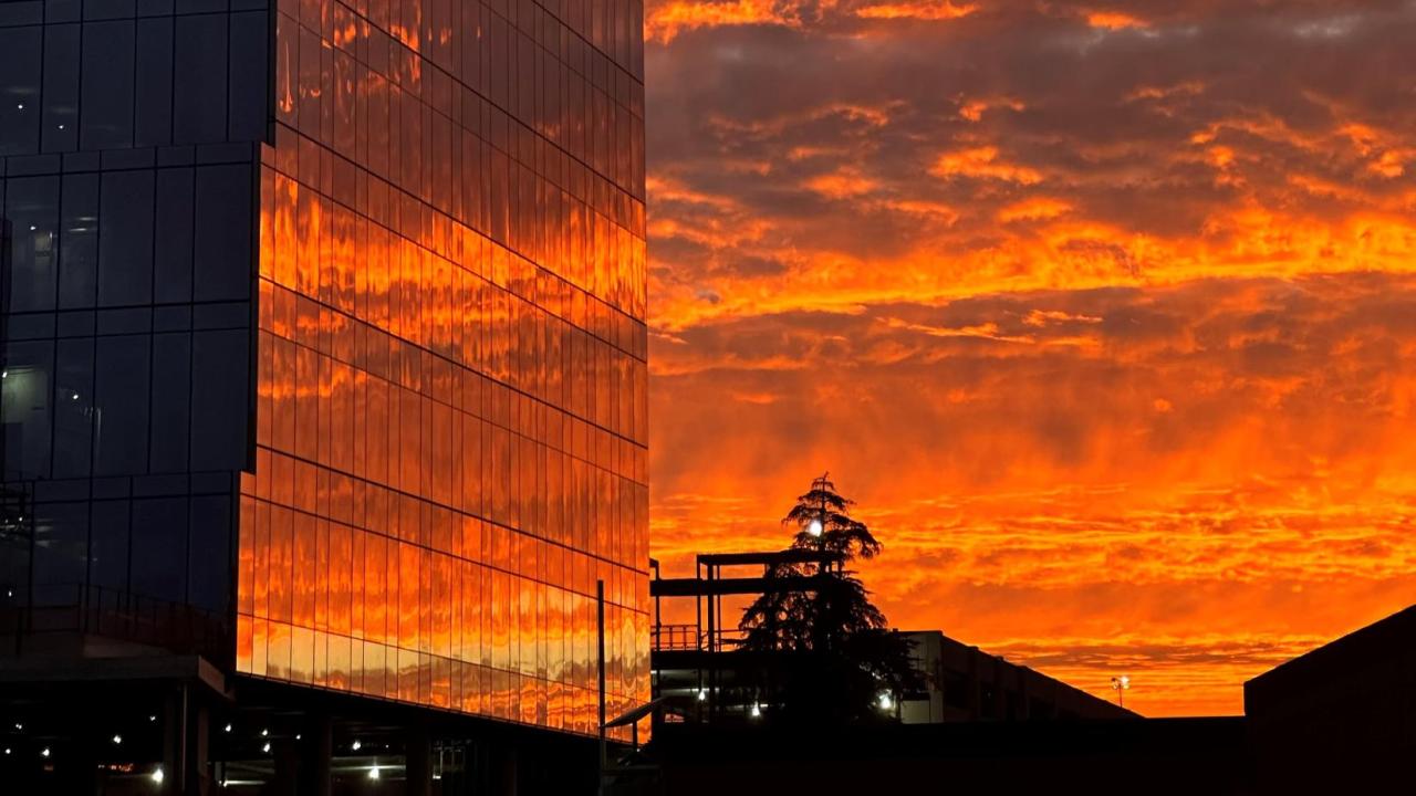 Sunrise reflected on windows of a building