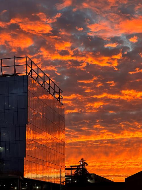 Sun reflecting on a glass building